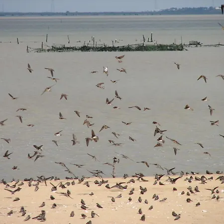 Couette-café La Closeraie