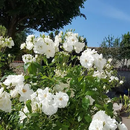 La Closeraie לינה וארוחת בוקר Champagné-les-Marais