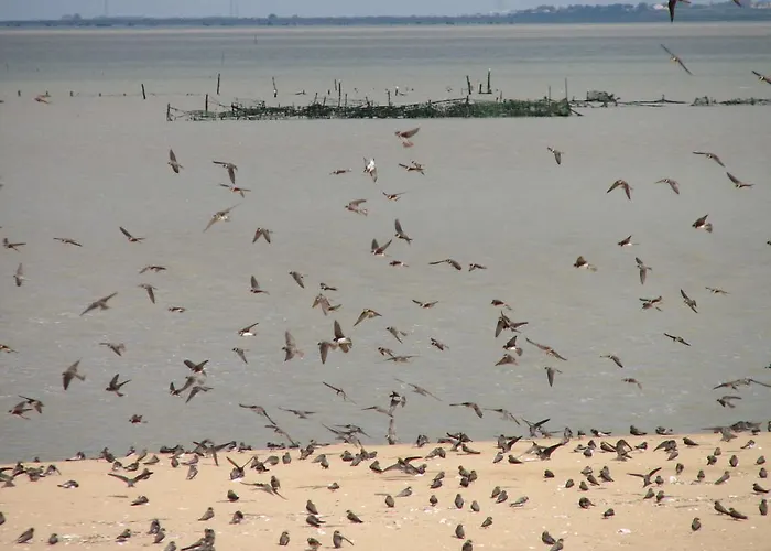 住宿加早餐酒店 克洛泽拉酒店